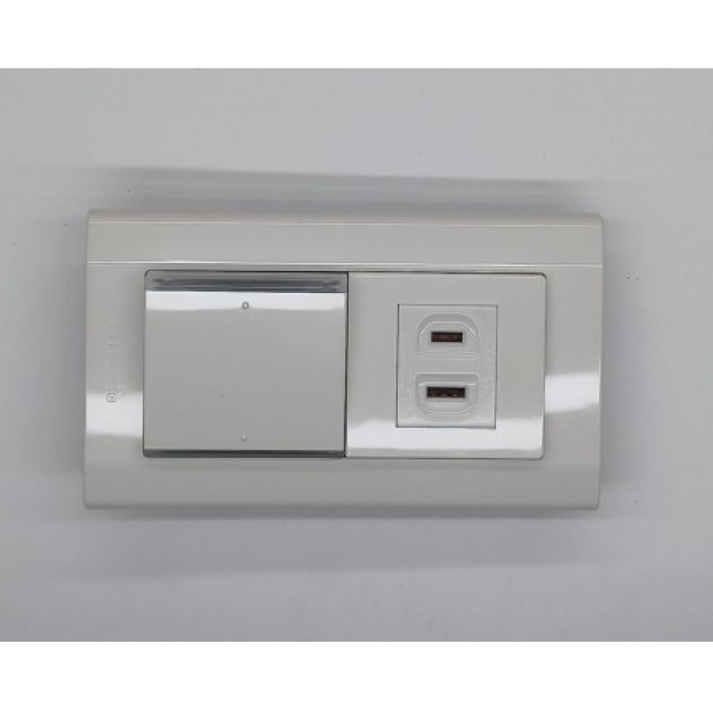 WTDFP4306 國際星光大面板1開關1插座