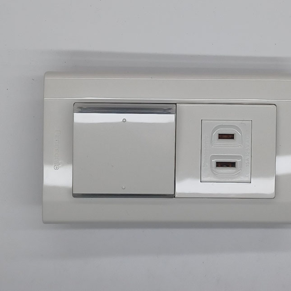 WTDFP4306 國際星光大面板1開關1插座